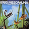 Thumbnail of Bios: Mesofauna cover