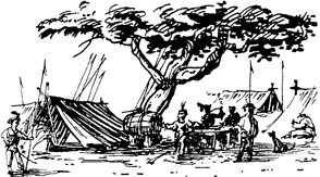 An army bivouac in woodland