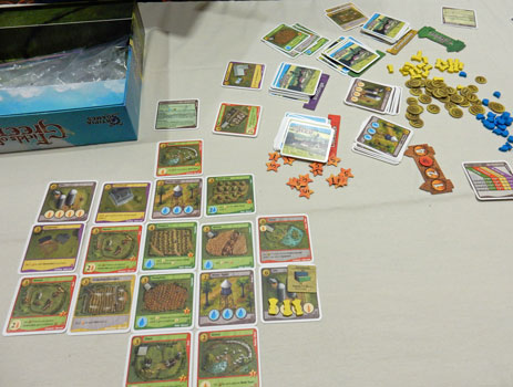 Playing Fields of Green: the tiles that make up my farm towards the end of the game